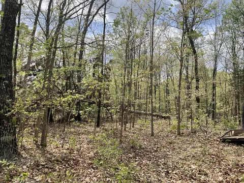 000 State Hwy N Tract G, Ava, MO 65608 photo 6