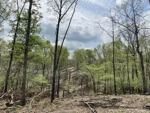000 State Hwy N Tract G, Ava, MO 65608 photo 51