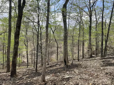 000 State Hwy N Tract G, Ava, MO 65608 photo 50