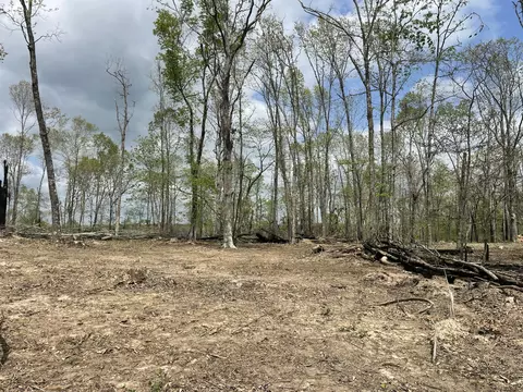 000 State Hwy N Tract G, Ava, MO 65608 photo 52