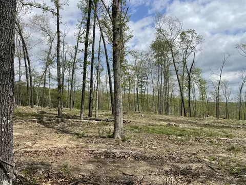 000 State Hwy N Tract G, Ava, MO 65608 photo 28