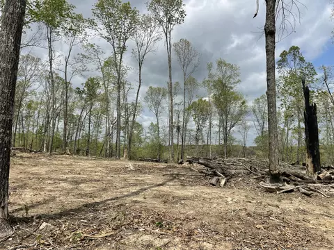 000 State Hwy N Tract G, Ava, MO 65608 photo 54