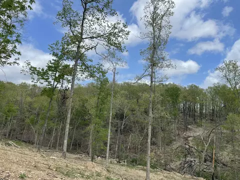 000 State Hwy N Tract G, Ava, MO 65608 photo 34