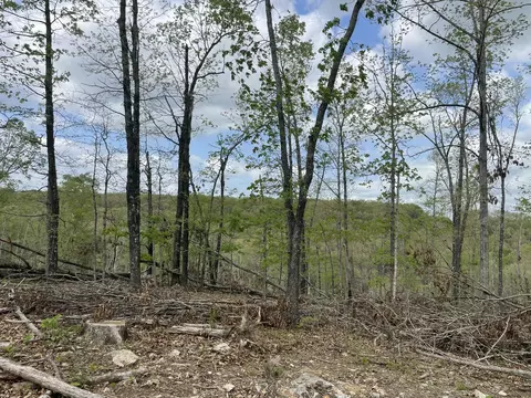 000 State Hwy N Tract G, Ava, MO 65608 photo 39