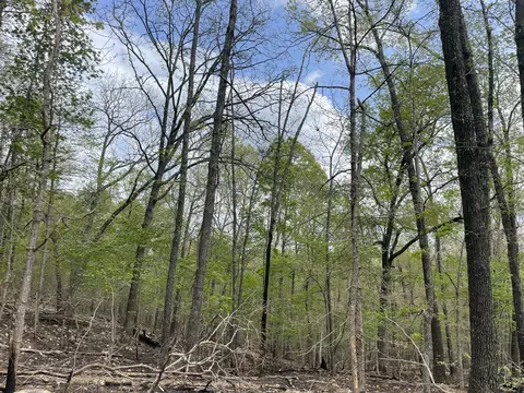 000 State Hwy N Tract G, Ava, MO 65608 photo 48