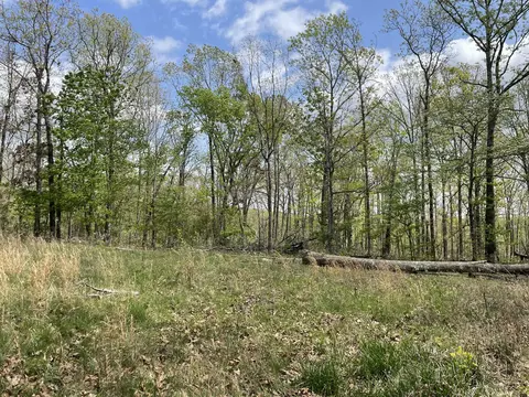000 State Hwy N Tract G, Ava, MO 65608 photo 7