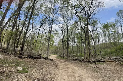 000 State Hwy N Tract G, Ava, MO 65608 photo 62