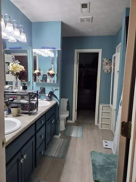 Bath - 131 Birchwood Cir, Branson, MO 65616 photo 2 of 4