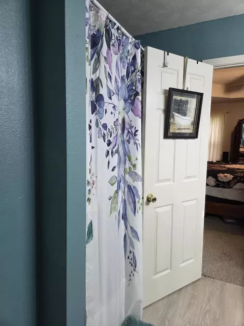 Bath - 131 Birchwood Cir, Branson, MO 65616 photo 4 of 4