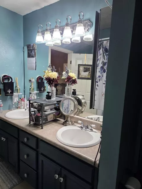 Bath - 131 Birchwood Cir, Branson, MO 65616 photo 3 of 4