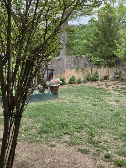 Exterior - 131 Birchwood Cir, Branson, MO 65616 photo 3 of 4