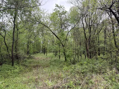 Nnn E Ivy Road, Carthage, MO 64836