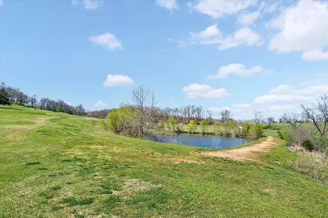 1211 Cox Ford Rd, Crane, MO 65633 photo 34