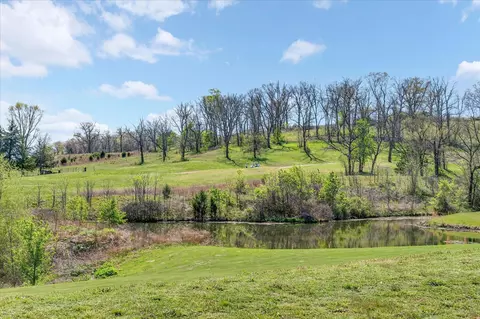 1211 Cox Ford Rd, Crane, MO 65633 photo 30