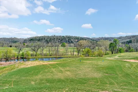 1211 Cox Ford Rd, Crane, MO 65633 photo 32