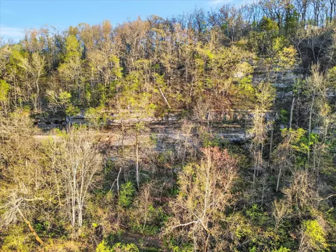 1211 Cox Ford Rd, Crane, MO 65633 photo 79