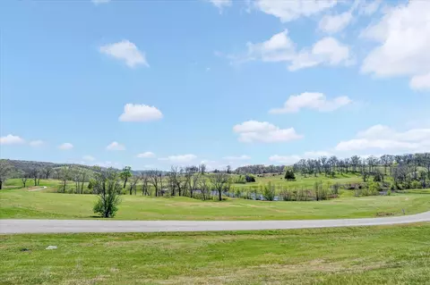 1211 Cox Ford Rd, Crane, MO 65633 photo 21
