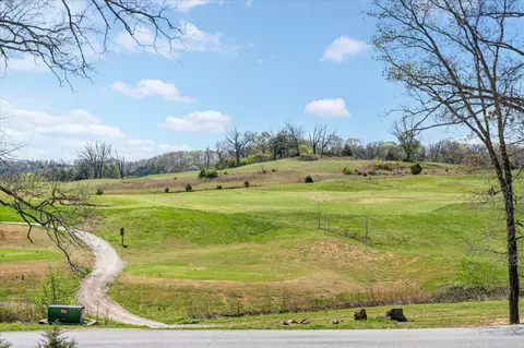 1211 Cox Ford Rd, Crane, MO 65633 photo 17