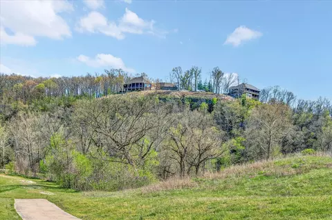1211 Cox Ford Rd, Crane, MO 65633 photo 38