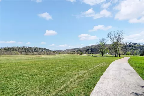 1211 Cox Ford Rd, Crane, MO 65633 photo 11