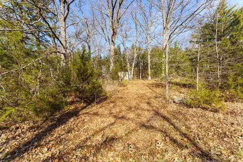 000 Boulder Dr, Lampe, MO 65681 photo 9