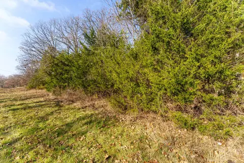 000 Boulder Dr, Lampe, MO 65681 photo 6