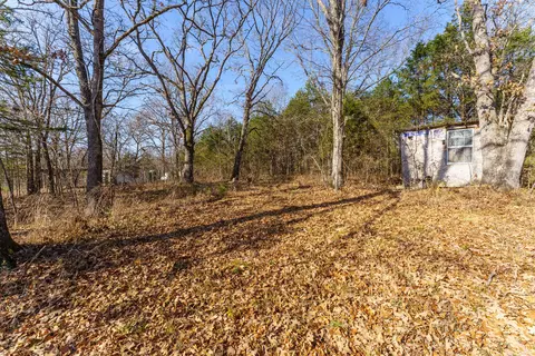 000 Boulder Dr, Lampe, MO 65681 photo 5