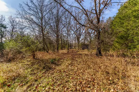 002 Boulder Dr, Lampe, MO 65681 photo 8