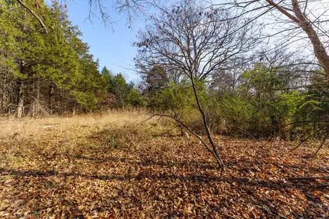 002 Boulder Dr, Lampe, MO 65681 photo 10
