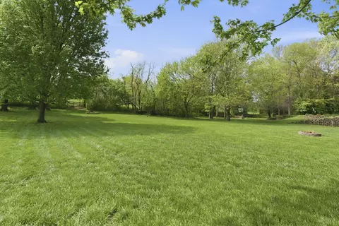 Exterior - 4202 Buttonwood Dr, Nixa, MO 65714 photo 6 of 9