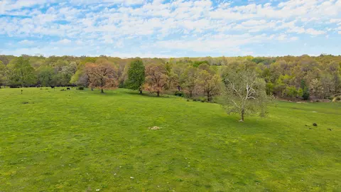 11730 Lawrence 1195, Mount Vernon, MO 65712