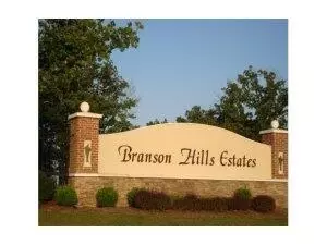 198 Royal Dornoch Dr, Branson, MO 65616