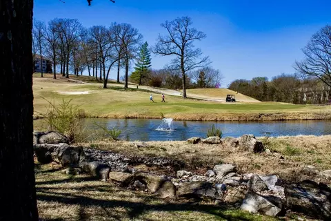 View/Area - 175 Avondale Dr #14, Branson, MO 65616 photo 1 of 2