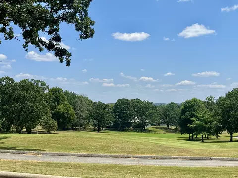 Other - 175 Avondale Dr #14, Branson, MO 65616 photo 3 of 3