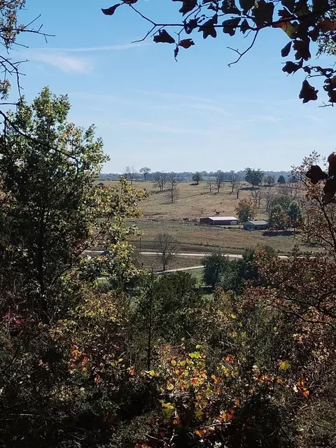 357 E Rolla St, Hartville, MO 65667
