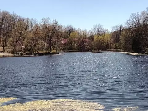 420 Lake Valley Dr, Seymour, MO 65746