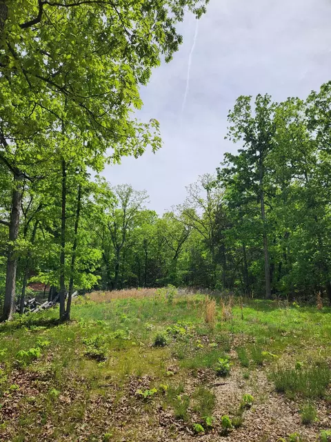 110 Tierra Trail Trl, Lampe, MO 65681