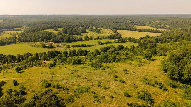 804 Banks Rd, Hardy, AR 72542