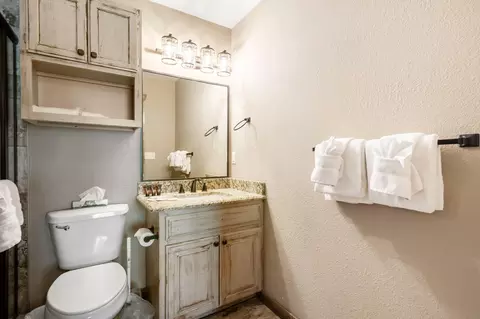 Bath - 429 E Chinquapin Cir #504, Indian Point, MO 65616 photo 3 of 4