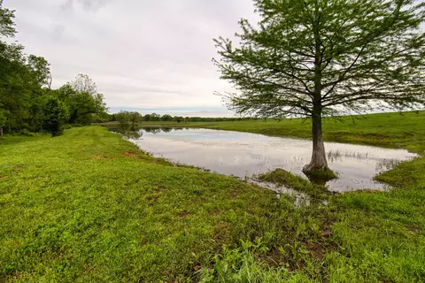 View/Area - 17522 E N Hwy, Sheldon, MO 64784 photo 37 of 41