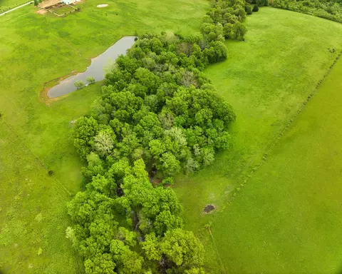 View/Area - 17522 E N Hwy, Sheldon, MO 64784 photo 33 of 41