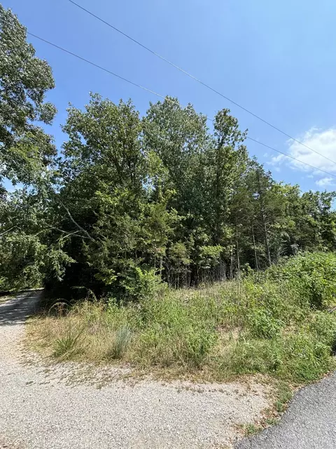 000 Berry Ln, Shell Knob, MO 65747 photo 2