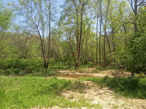 000 Timber Cir, Tunas, MO 65764 photo 3