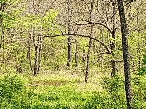 000 Timber Cir, Tunas, MO 65764 photo 19