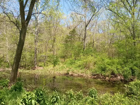 000 Timber Cir, Tunas, MO 65764 photo 4