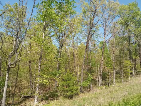 000 Timber Cir, Tunas, MO 65764 photo 12