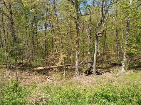 000 Timber Cir, Tunas, MO 65764 photo 13