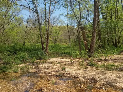 000 Timber Cir, Tunas, MO 65764 photo 5