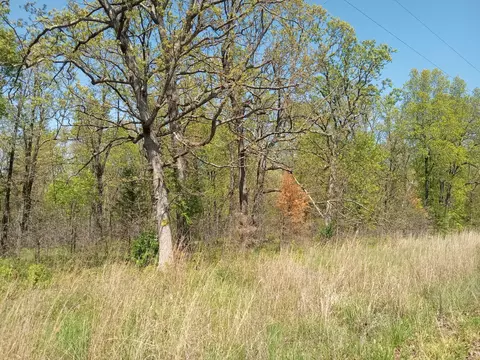 000 Timber Cir, Tunas, MO 65764 photo 10