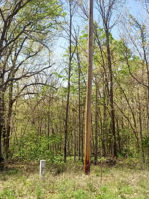 000 Timber Cir, Tunas, MO 65764 photo 8